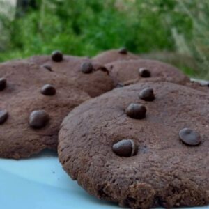 COOKIES DE CHOCOLATE CON CHIPS BAJO EN ALMIDONES X 250 GR