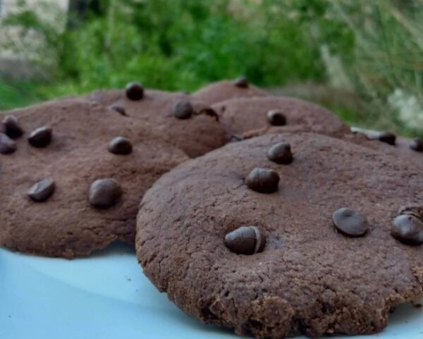 COOKIES DE CHOCOLATE CON CHIPS BAJO EN ALMIDONES Y SIN HUEVO X 250 GR