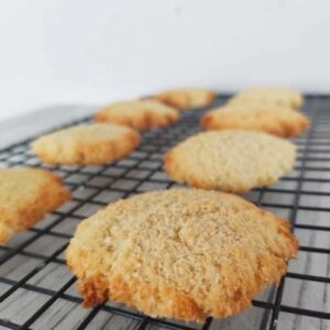 GALLETITAS DE COCO BAJO EN ALMIDONES X 250 GR