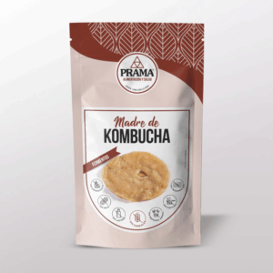 MADRE DE KOMBUCHA PARA CULTIVO